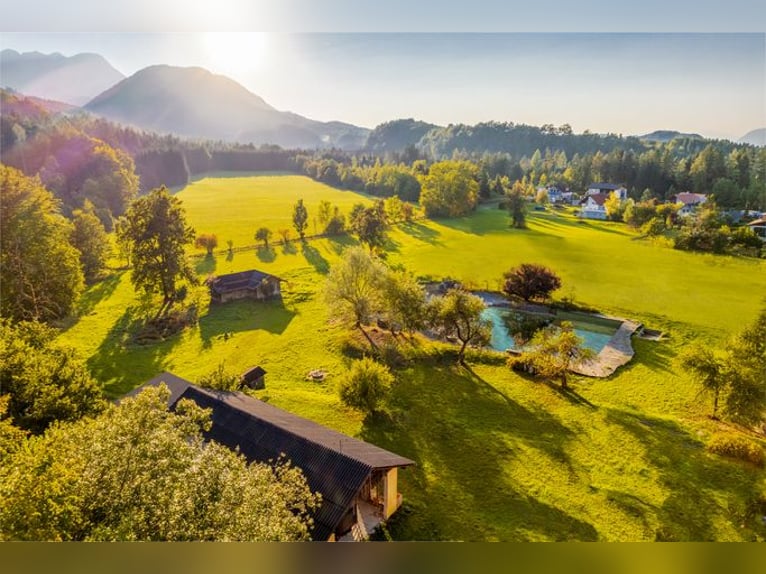 Projektentwicklung in Kärnten – Moderne Reitsportanlage mit Aparthotel, Ferien- und Mietwohnungen