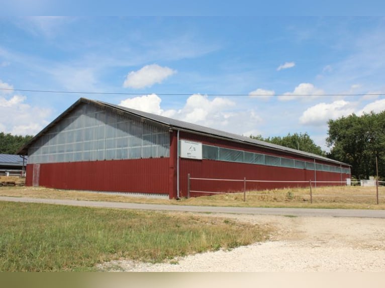 Provisionsfrei: Namhafte Reitanlage mit 2 Reithallen, Reitplatz und 514 kWp Photovoltaik-Anlage