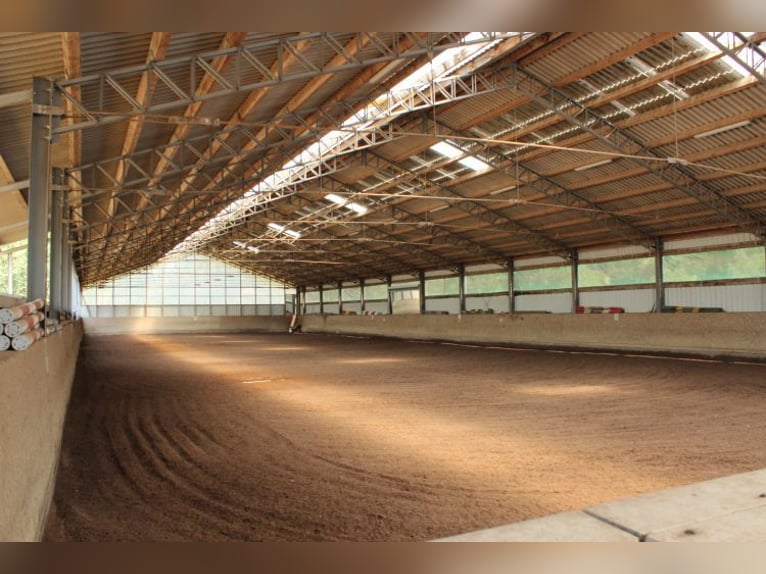 Provisionsfrei: Namhafte Reitanlage mit 2 Reithallen, Reitplatz und 514 kWp Photovoltaik-Anlage
