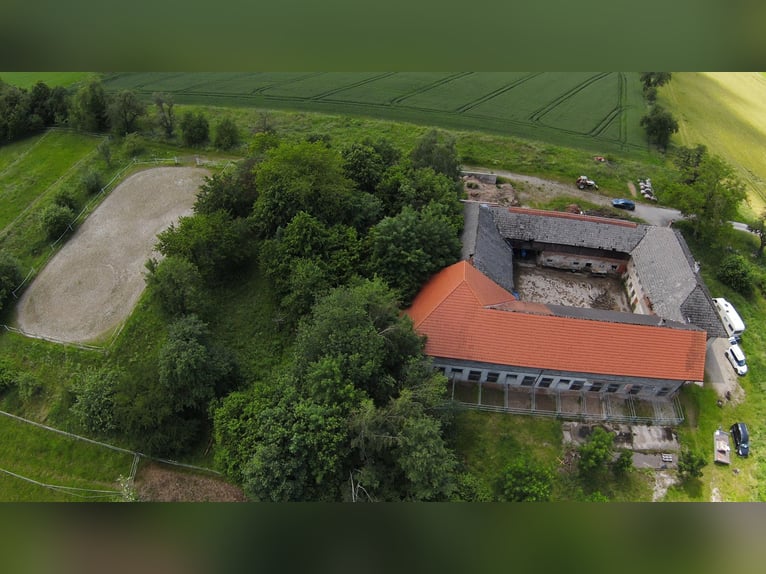 Rarität im OÖ Salzkammergut,  Nähe Gmunden, Österreich 