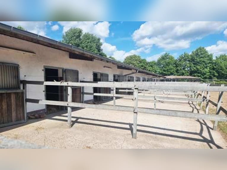 Ref2529 NRW, Nordrhein-Westfalen, Raum 33739 Bielefeld - gepflegte Reitanlage in unverbaubarer Lage