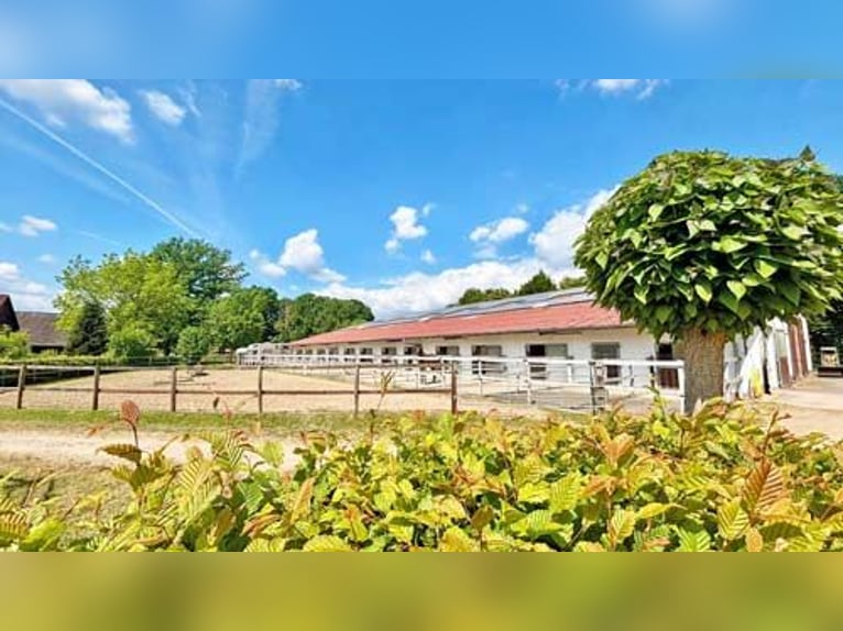 Ref2529 NRW, Nordrhein-Westfalen, Raum 33739 Bielefeld - gepflegte Reitanlage in unverbaubarer Lage