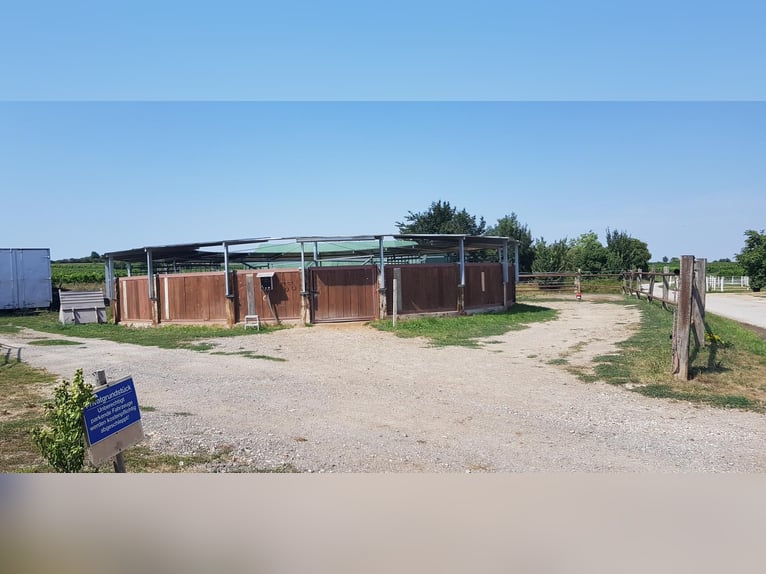 Reit und Tennissportanlage zu verkaufen