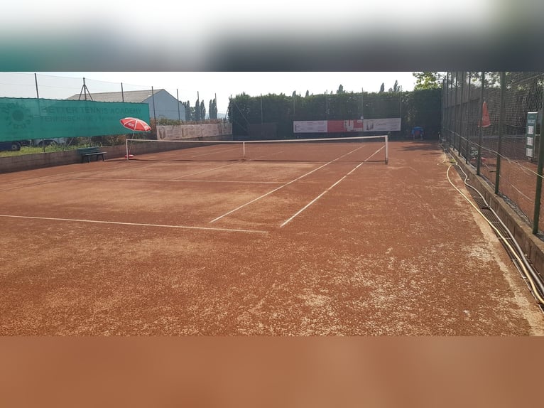Reit und Tennissportanlage zu verkaufen