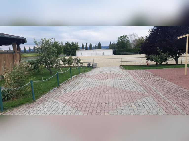 Reit und Tennissportanlage zu verkaufen