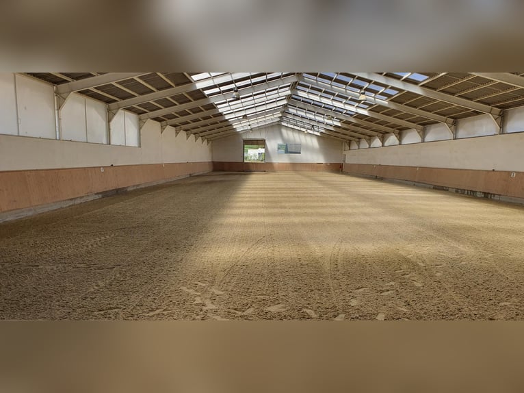 Reit und Tennissportanlage zu verkaufen
