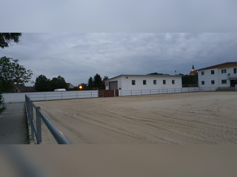 Reit und Tennissportanlage zu verkaufen