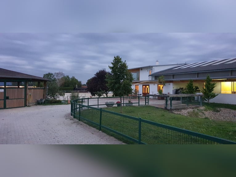 Reit und Tennissportanlage zu verkaufen