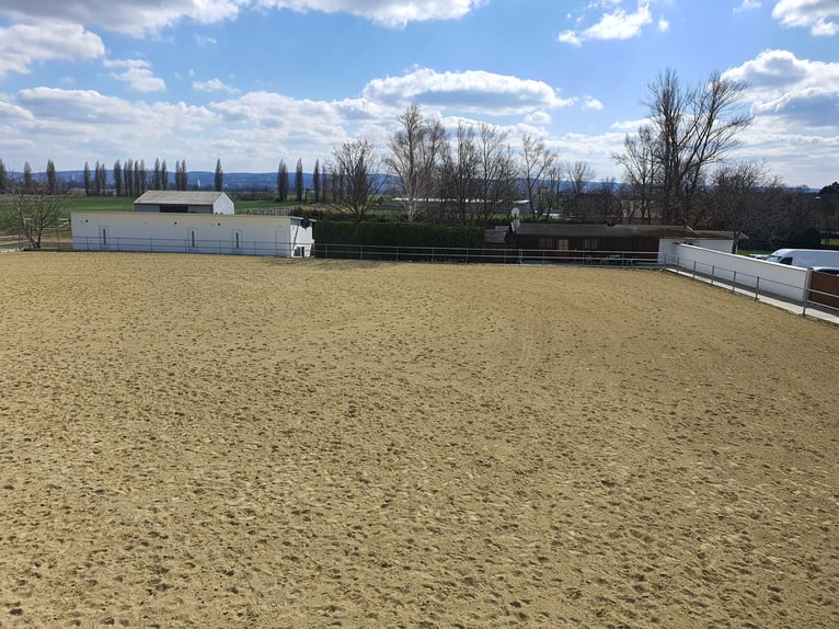 Reit und Tennissportanlage zu verkaufen