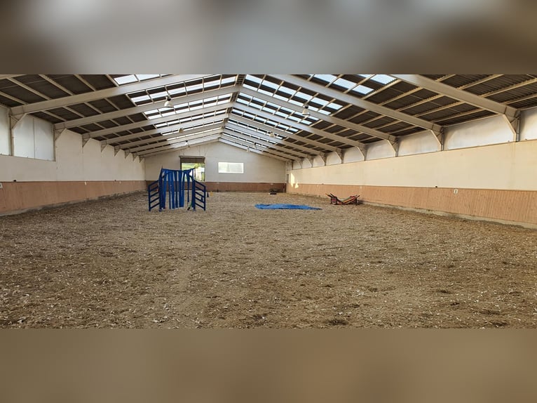 Reit und Tennissportanlage zu verkaufen