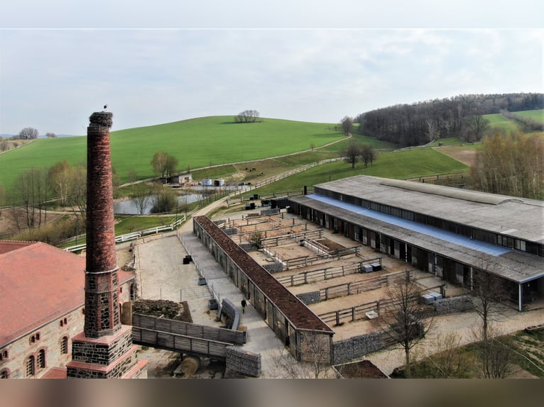 Reitanlage bei Dresden - Anteil