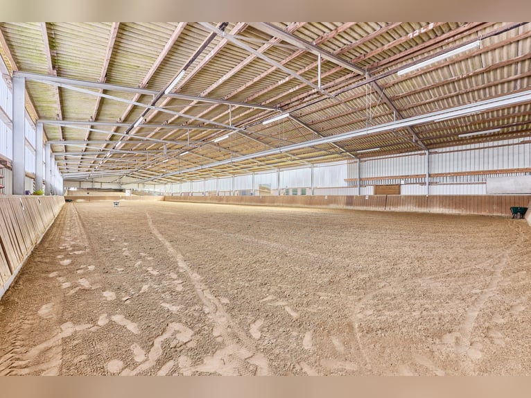 Reitanlage bei Hannover – 29 Pferdeboxen, professionelle Trainingsbedingungen & 4 Wohneinheiten!