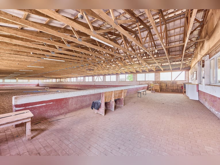 Reitanlage bei Villingen-Schwenningen mit lukrativer PV-Anlage, zwei Reithallen in traumhafter Lage!