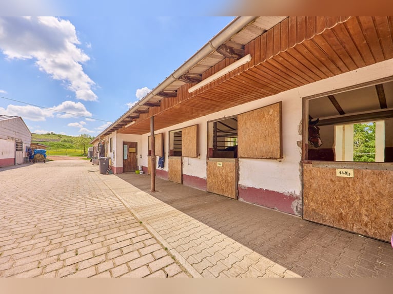 Reitanlage bei Villingen-Schwenningen mit lukrativer PV-Anlage, zwei Reithallen in traumhafter Lage!