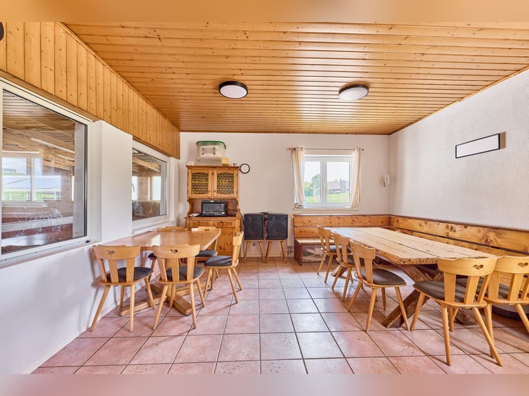 Reitanlage bei Villingen-Schwenningen mit lukrativer PV-Anlage, zwei Reithallen in traumhafter Lage!