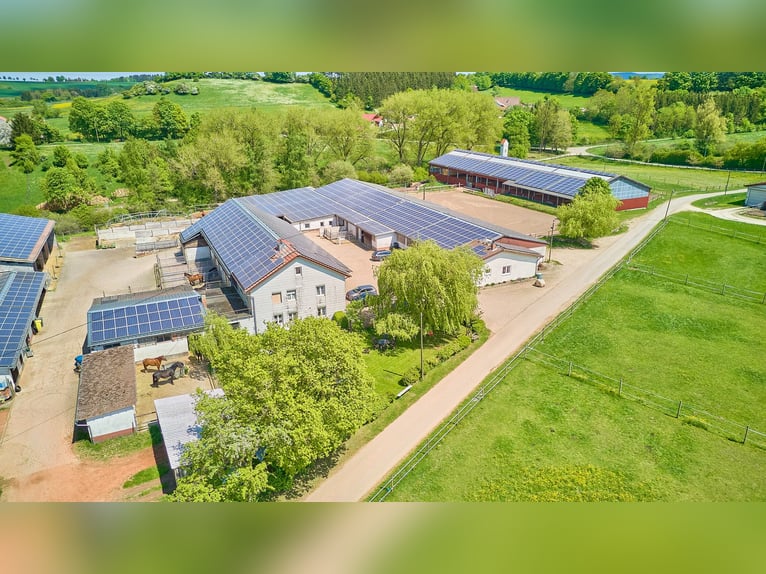 Reitanlage bei Villingen-Schwenningen mit lukrativer PV-Anlage, zwei Reithallen in traumhafter Lage!