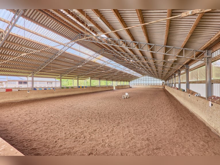 Reitanlage bei Villingen-Schwenningen mit lukrativer PV-Anlage, zwei Reithallen in traumhafter Lage!