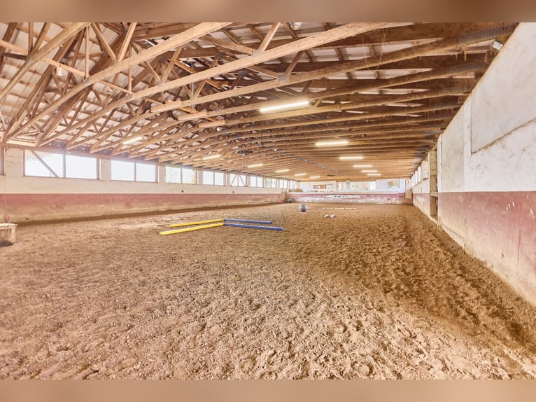 Reitanlage bei Villingen-Schwenningen mit lukrativer PV-Anlage, zwei Reithallen in traumhafter Lage!