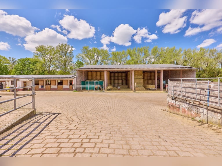 Reitanlage bei Villingen-Schwenningen mit lukrativer PV-Anlage, zwei Reithallen in traumhafter Lage!
