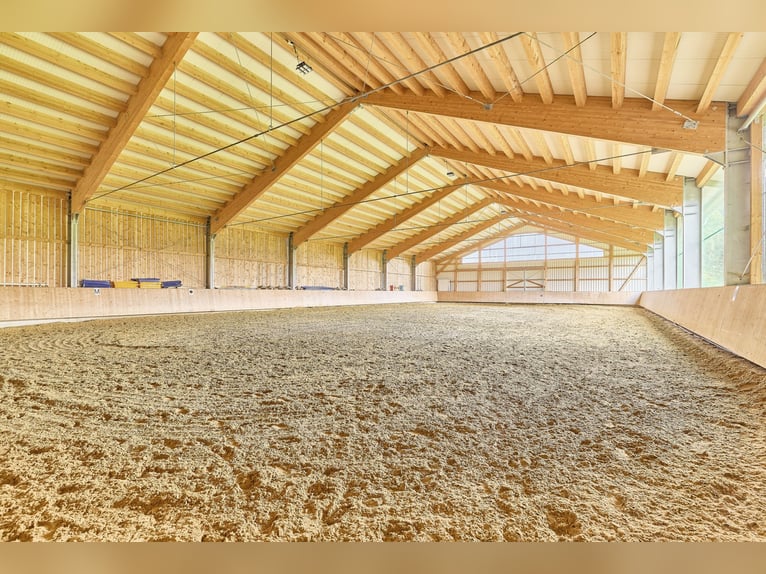 Reitanlage im Allgäu in malerischer Natur- Leben zwischen Bergen und Wäldern!