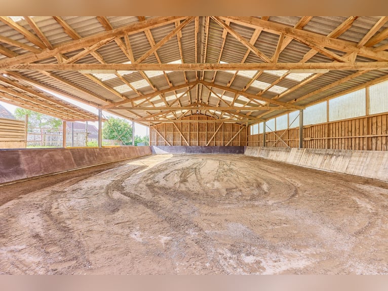 Reitanlage im Landkreis Bad Kreuznach – Fachwerktraum in Stromberg mit Reithalle!