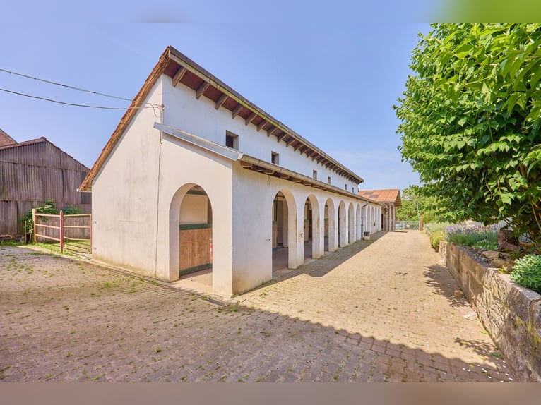 Reitanlage im Landkreis Bad Kreuznach – Fachwerktraum in Stromberg mit Reithalle!