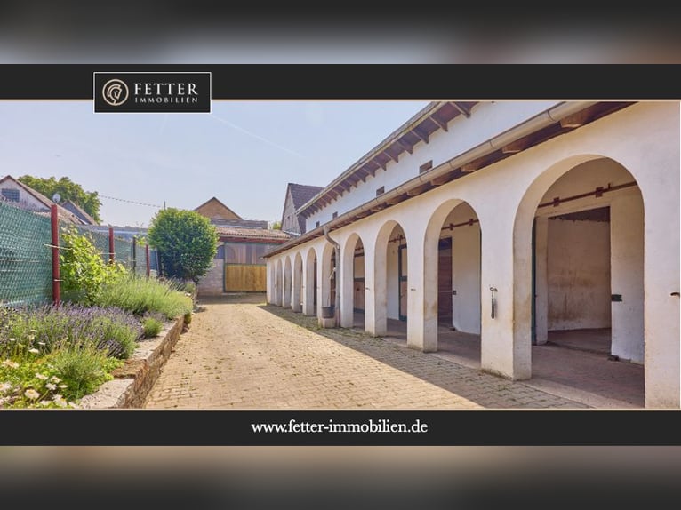 Reitanlage im Landkreis Bad Kreuznach – Fachwerktraum in Stromberg mit Reithalle!