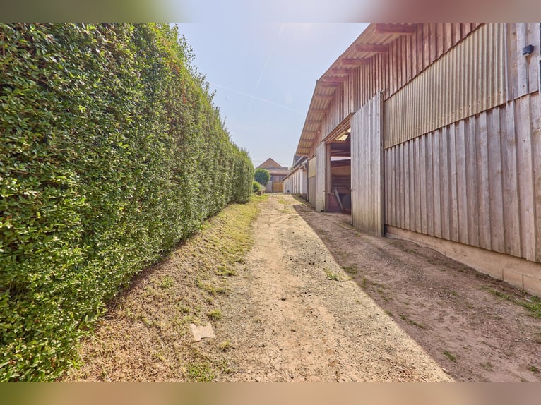 Reitanlage im Landkreis Bad Kreuznach – Fachwerktraum in Stromberg mit Reithalle!