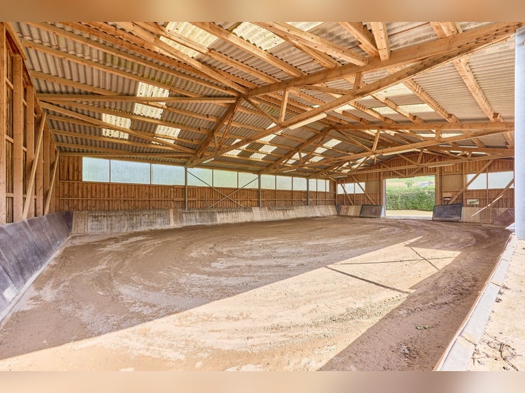 Reitanlage im Landkreis Bad Kreuznach – Fachwerktraum in Stromberg mit Reithalle!