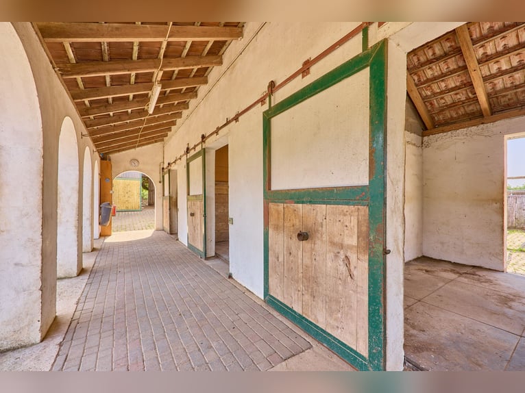 Reitanlage im Landkreis Bad Kreuznach – Fachwerktraum in Stromberg mit Reithalle!