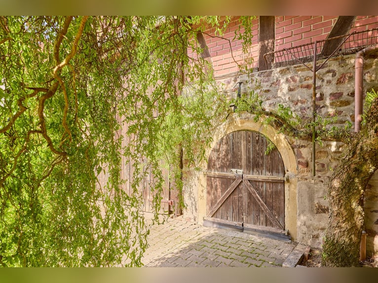 Reitanlage im Landkreis Bad Kreuznach – Fachwerktraum in Stromberg mit Reithalle!