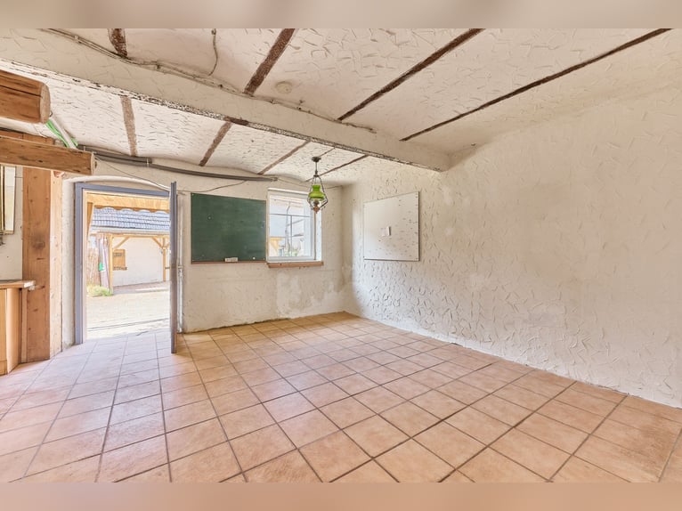 Reitanlage im Landkreis Bad Kreuznach – Fachwerktraum in Stromberg mit Reithalle!