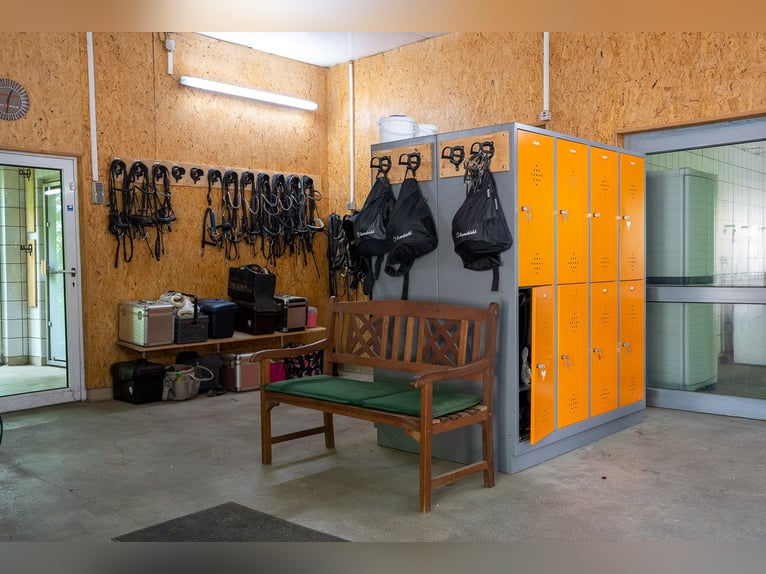 Reitanlage im Saarland bei St.Wendel in malerischer Alleinlage zu verkaufen!