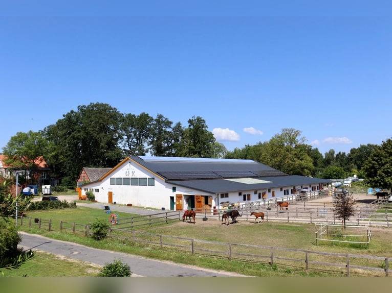 Reitanlage in Dannenberg (Elbe) in Niedersachsen – sanierter Hof & Wohnhaus mit Potenzial!