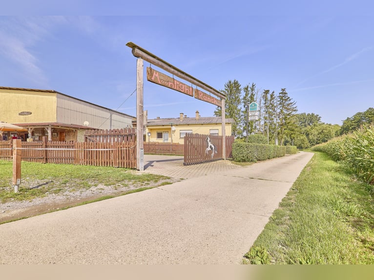 Reitanlage in Eppingen mit Gastronomiebetrieb in malerischer Alleinlage – die Moonlight Ranch!