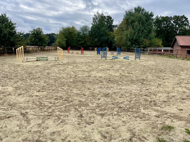Reitanlage in malerischer Lage