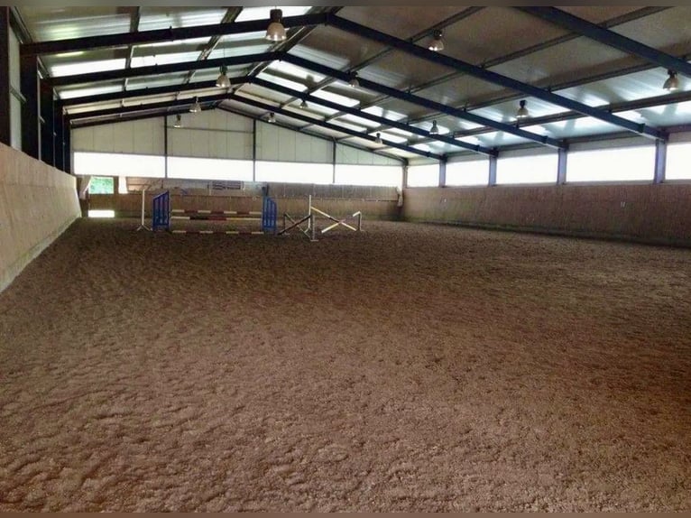 Reitanlage in malerischer Lage