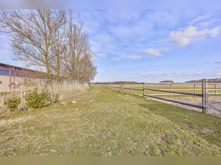 Reitanlage in Mecklenburg-Vorpommern – direkt an der Mecklenburgischen Seenplatte in einer touristis