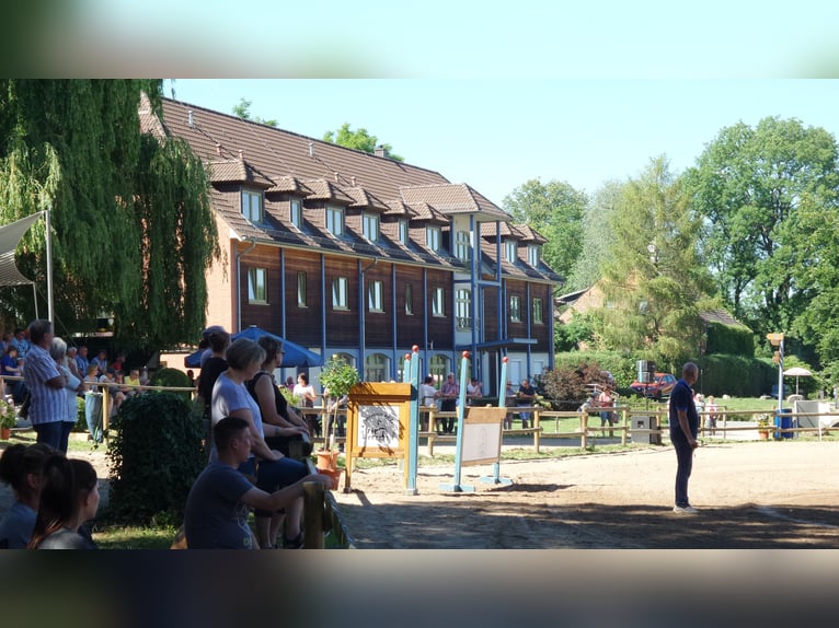 Reitanlage in Nähe Frankfurt (Oder) zu verpachten, KEIN KAUF