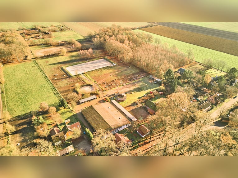 Reitanlage in Niedersachsen (Landkreis Uelzen) mit Wohn- und Gästehaus zu verkaufen!