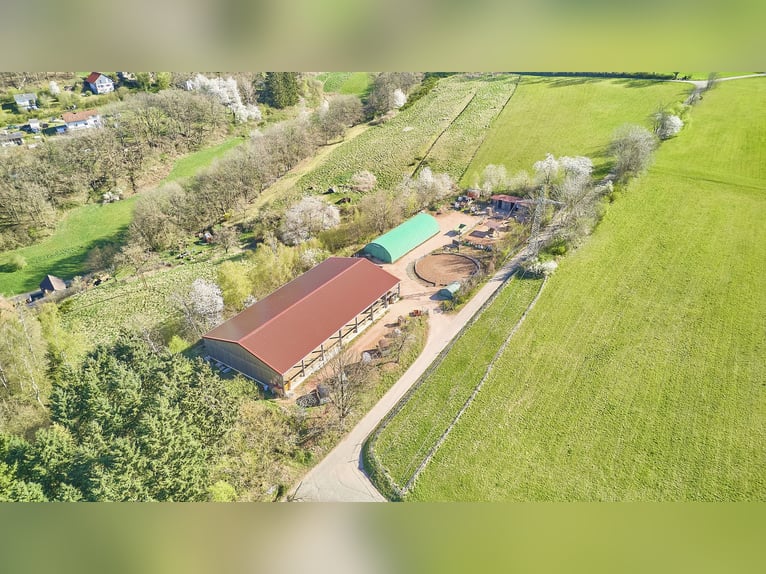 Reitanlage in Rheinland-Pfalz – moderner Aktivstall im Donnersbergkreis!