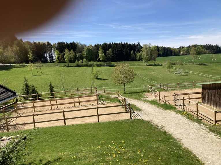 Reitanlage in traumhafter Alleinlage nordöstlich München