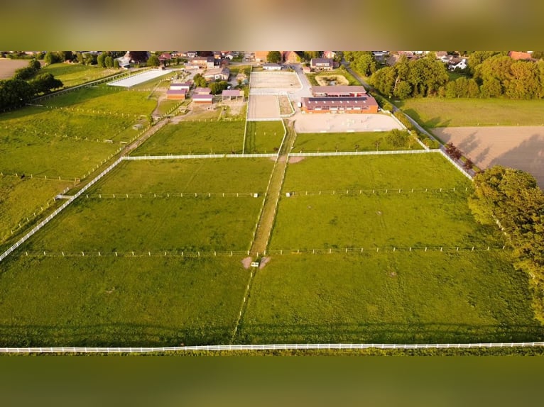 Reitanlage mit Halle und zwei Reitplätzen zu verkaufen