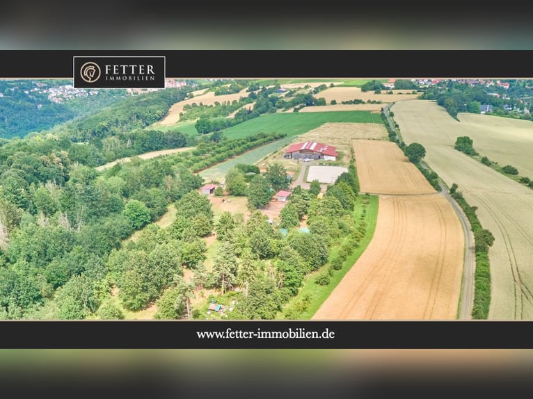 Reitanlage mit Panoramablick in Battenberg (Pfalz) – Einmalige Alleinlage !