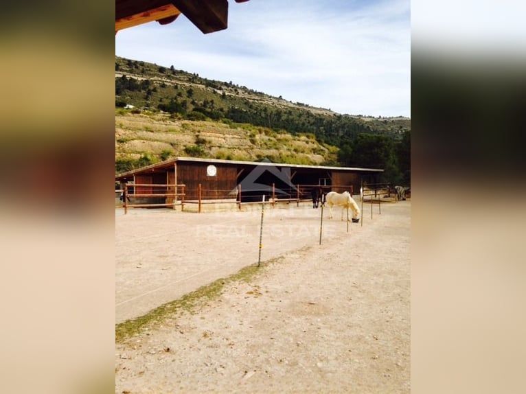 Reitanlage mit Stall für 12 Pferde und Reitplatz