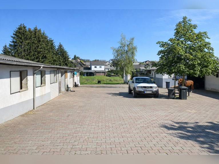 Reitanlage mit Wohn- und Gewerbeeinheit in Hohenahr - vielseitig nutzbare Liegenschaft