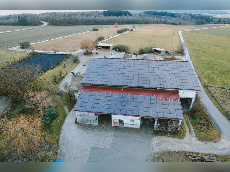 Reitanlage mit Wohnhaus, arrondierten Flächen und moderner PV-Anlage