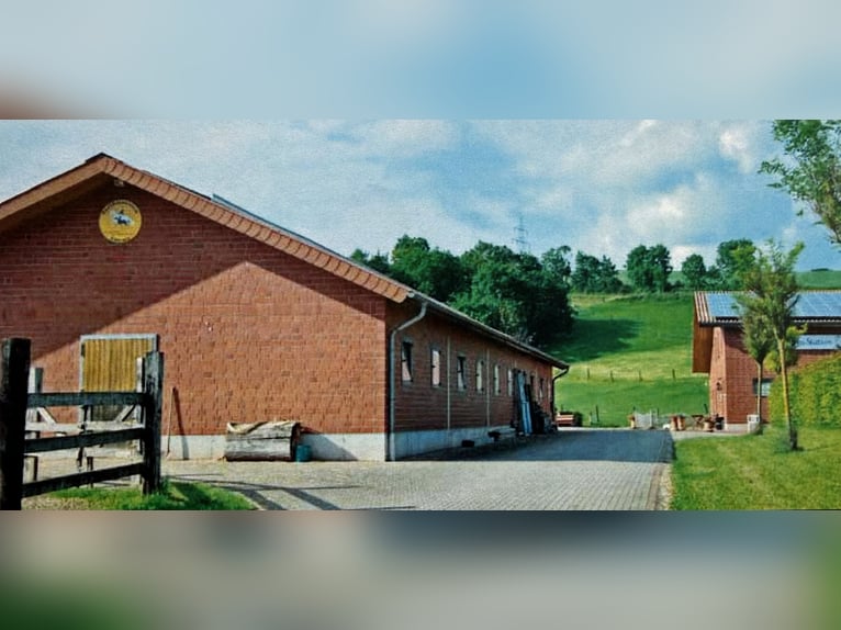 Reitanlage mitten in Deutschland