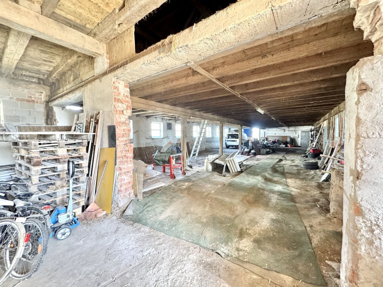 Reitanwesen mit großem Wohnhaus  und Entwicklungspotenzial