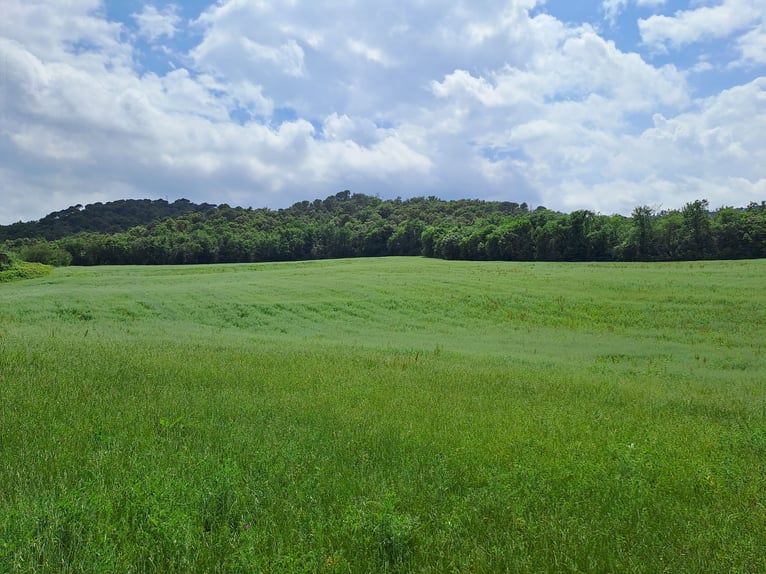 Reiterhof in Girona-Costa Brava, vielfältige Nutzungsmöglichkeiten